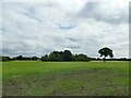 Farmland near Allostock