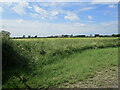 View across the Car Dyke towards Honies Farm