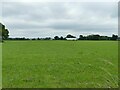 View south-east from Dunham Massey