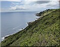 Heath and scrub above the Coast Path