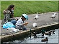 Feeding the ducks, Herne Bay