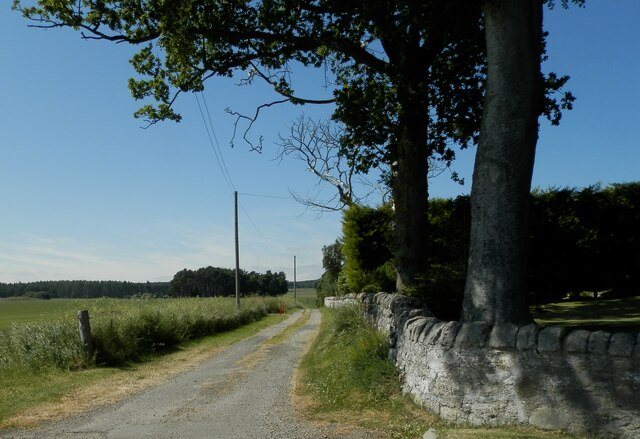 Farm road at Blairdhu