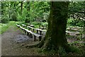 Picton Castle: Rest and picnic area