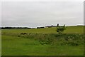 Field Boundary by Muiryfold Burn