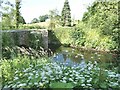 Pack horse bridge over the River Alyn