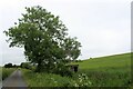 Pump House and Tree