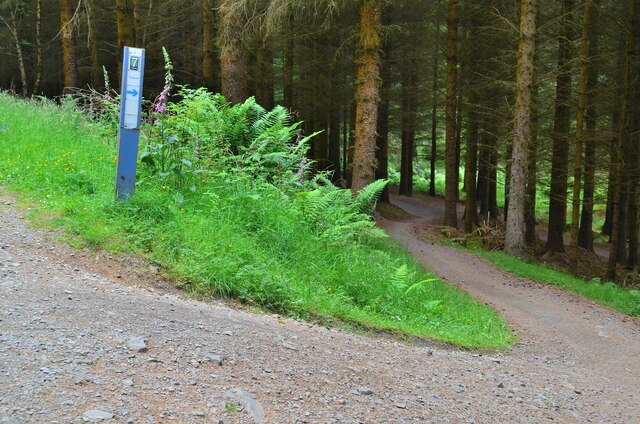 Bike trail and marker, Glentress Forest