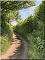 SN3814 : Track to Coch-y-Barlys by Alan Hughes