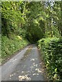 Lane near Dyffryn Tawel