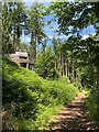 Rustic living in Ferry Farm Wood