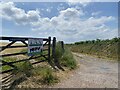 Track to Lacques Fawr Farm