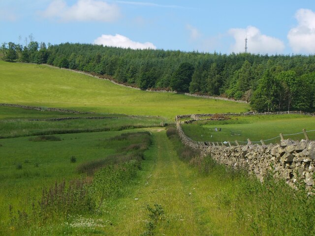 Field track, Standalane