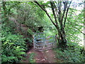 Llwybr ger Heol Graig y Merched / Path near Graig y Merched Road