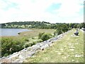 Embankment at the lower end of Llyn Tegid