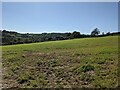 A field near Little Rosemorran