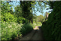 Footpath at Alby Hill