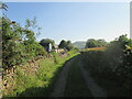 Track  to  Allotments  off  Meadow  Lane