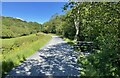 Mawddach Trail