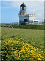 HY2328 : Lighthouse, Brough of Birsay by Gordon Hatton