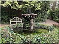 TQ5201 : Pool and fountain, Litlington Tea Gardens by Robin Stott