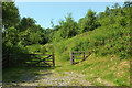 Path, Aveton Wood