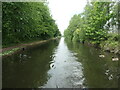 Bridgewater Canal, near Trafford Park