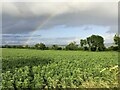 Crop and rainbow