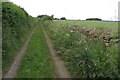 Stone wall by the footpath