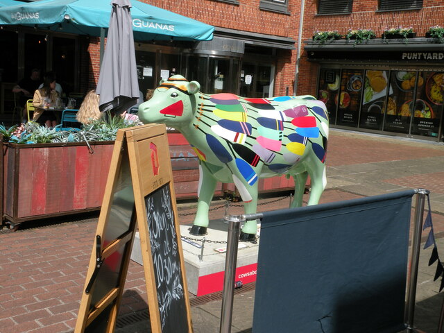 Cows about Cambridge 24: Udders & Rudders