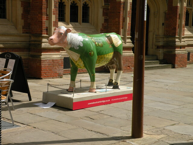 Cows about Cambridge 23: Sir Isaac Mooton