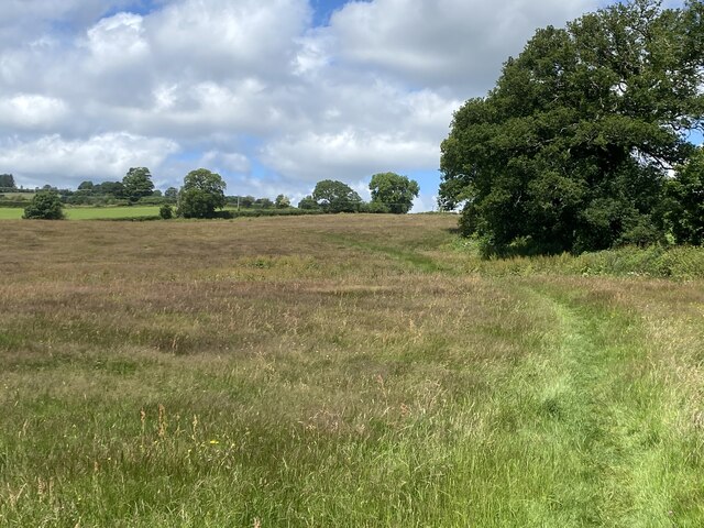 Field near Pentre Farm © John H Darch :: Geograph Britain and Ireland