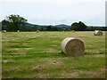 SO7444 : Hay bales in a field by Philip Halling