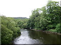 SD3483 : The River Leven near Haverthwaite by JThomas