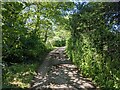 Dappled light on the minor road