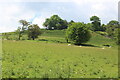 Hilltop pasture above Pen-y-fedw