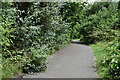 Footpath east from the end of Charles Street