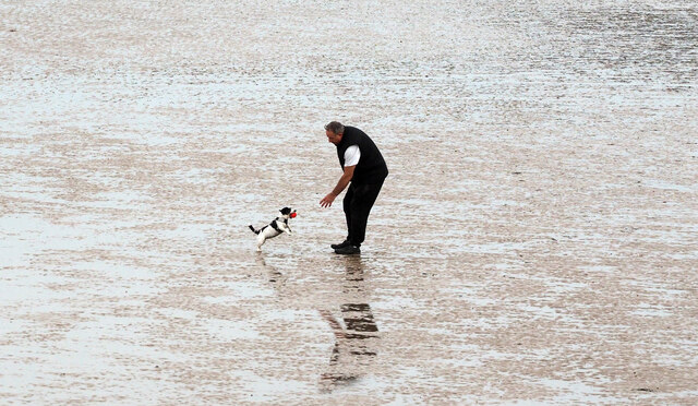 can you take dogs on the beach at bridlington