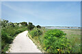 TR3462 : Thanet Coastal Path, Pegwell Bay by Des Blenkinsopp