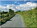 Minor Road near Bedale