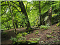 Path, rocks and trees above Weem