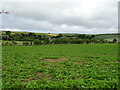 SD2570 : Crop field near Gleaston by JThomas