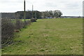 Field boundary, Enifer Farm