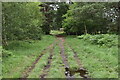 Path on Brentmoor Heath