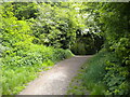 Footpath into Rough Wood, Short Heath (1)