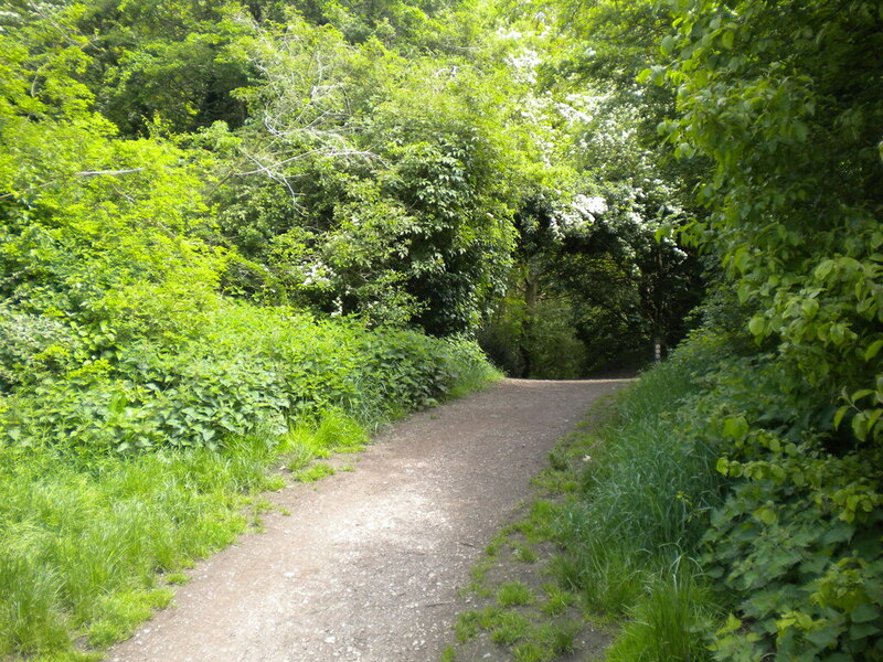 Footpath into Rough Wood, Short Heath... © Richard Vince cc-by-sa/2.0 ...