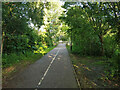 Path from Maidenbower Drive to Lucerne Drive, Maidenbower, Crawley