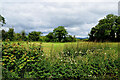 Garvaghullion Townland