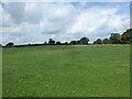 Footpath line across the field