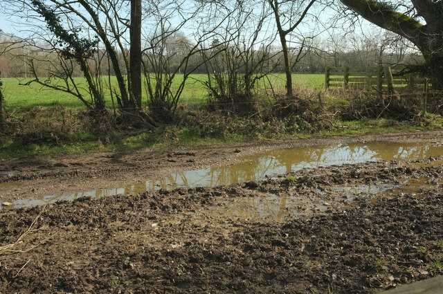 Slightly flooded field, Templer Way