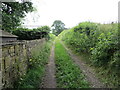 Enclosed track and path leaving Woodsome Lees